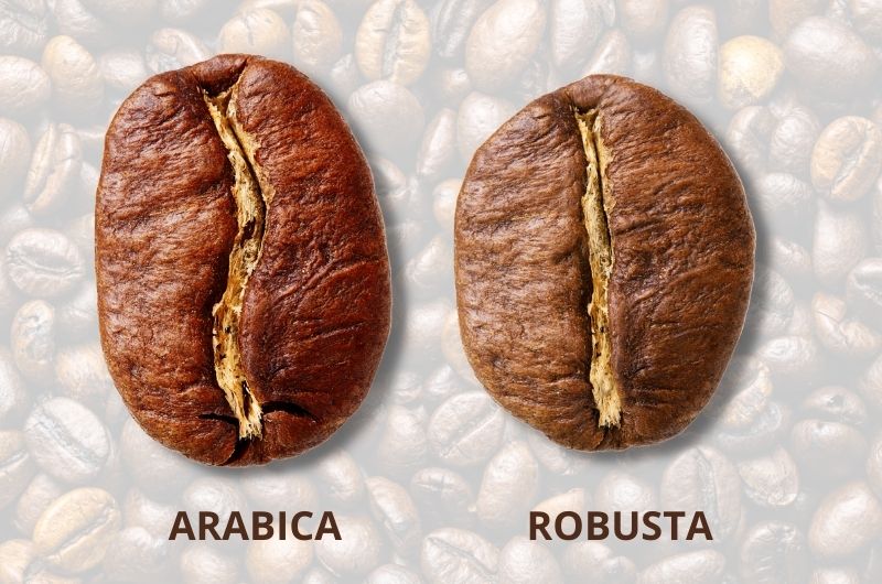 arabica és robusta kávészemek